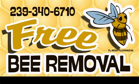 Free bee removal near me - Call us toll free 1-844-738-4627. ... our honey comes from places near you! ... No matter the place or location, our beekeepers specialize in live bee removal and ... 